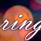 Lovely Hoffman and Sam Yin to be Honored at SpeakEasy's 2017 Spring Gala