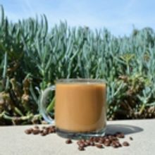 Got Milk? Invites You To Enjoy A Taste Of Havana At Home