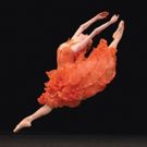 BWW Review: ABT's DON QUIXOTE Fires Up The 2017 Spring Season