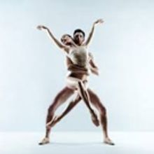 The Australian Ballet Releases Complete Schedule for Upcoming Season