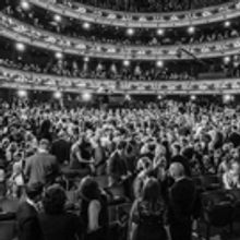 2017 Olivier Awards to Be Held at the Royal Albert Hall