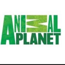 Animal Planet Premieres New Series DR. DEE: ALASKA VET Tonight