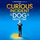 THE CURIOUS INCIDENT OF THE DOG IN THE NIGHT-TIME to Celebrate First Anniversary on…