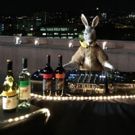 Yellow Tail Becomes First Wine Brand To Advertise On The Super Bowl In Nearly 40…