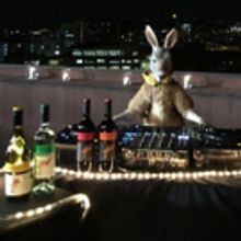 Yellow Tail Becomes First Wine Brand To Advertise On The Super Bowl In Nearly 40…
