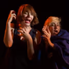 Theater Reconstruction Ensemble's RHINBECCA, NY to Play The Brick This Spring