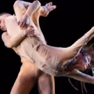 Stephen Petronio Company Announces Third Season of BLOODLINES