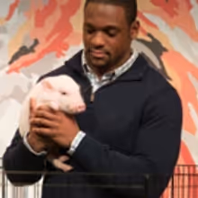 NAT GEO WILD Launches PET TALK, First Prime-Time Talk Show for Pet Owners, Tonight