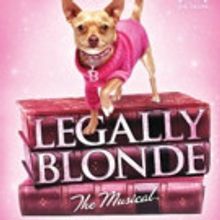 South Bend Civic Theatre Presents LEGALLY BLONDE: THE MUSICAL