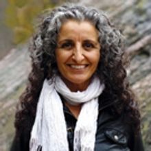 Sandra Shamas' THE BIG 'WHAT NOW?' Extends at Harbourfront Centre