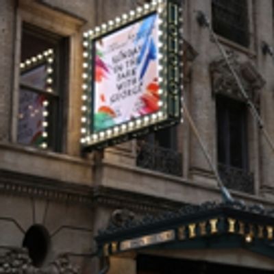 Up on the Marquee: SUNDAY IN THE PARK WITH GEORGE