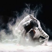 Nederlands Dans Theater 1 Slated for FALL FOR DANCE Festival 2016