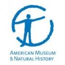 American Museum of Natural History to Celebrate BIG CATS with Special Event, 5/23