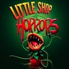 LITTLE SHOP OF HORRORS to play Theatre Royal, Glasgow