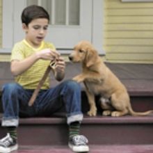 BWW Review: A DOG'S PURPOSE at Palace Nova Eastend Cinemas