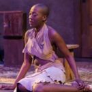 BWW Review: The Top-Ten Plays and Musicals of 2016