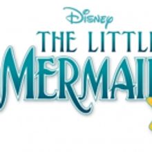 Disney's THE LITTLE MERMAID JR. to Play John W. Engeman Theater