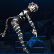 BWW Review: CATS, New Wimbledon Theatre, 10 November 2016