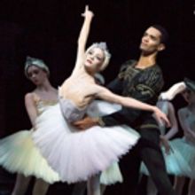 BWW Review: BIRMINGHAM ROYAL BALLET'S SWAN LAKE Still Stunning After 25 Years
