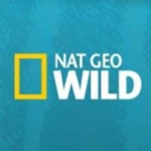 Nat Geo WILD Airs 2nd Annual BARKFEST, Beginning Today