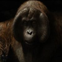 VIDEO: First Look - Meet Christopher Walken's 'King Louie' in Disney's THE JUNGLE… Video