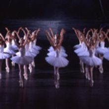 The State Ballet Theatre of Russia to Bring SWAN LAKE to the Morris This Winter