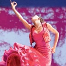 BWW Review: A Fantastic Close to the Flamenco Festival New York with BALLET FLAMENCO