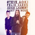 FIRST LISTEN: Steve Aoki & Felix Jaehn ft Adam Lambert 'Can't Go Home'