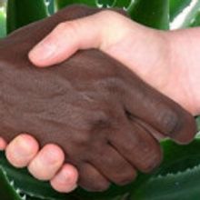 Quotidian Theatre Company to Present A LESSON FROM ALOES, 4/29-5/29