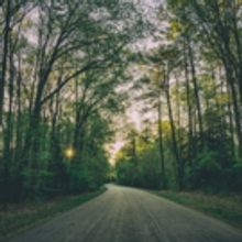 BWW Blog: Micah Young - Ease On Down Your Road