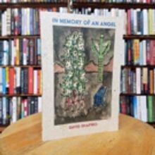 City Lights Publishers Presents 'In Memory of an Angel' By David Shapiro