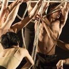 Centenary Stage Company to Host Annual Dance Fest at Lackland Center