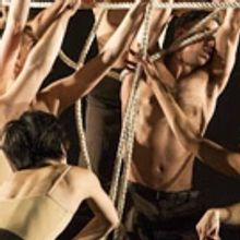 Centenary Stage Company to Host Annual Dance Fest at Lackland Center