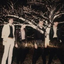 Icehouse Announce 40 Year Anniversary Box Set and More