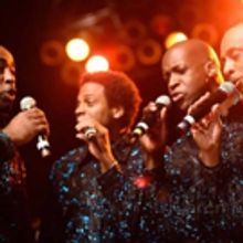 Tickets on Sale This Week for THE DISCO BALL 2017 at bergenPAC