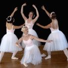 North Shore Civic Ballet Seeks Donations and Volunteers for Annual Auction