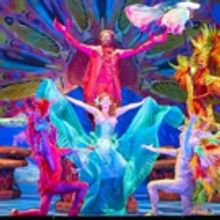 BWW Review: Disney's THE LITTLE MERMAID Makes a Splash
