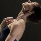 BWW Reviews: MOVE Celebrates at Vancouver Playhouse
