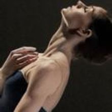 BWW Reviews: MOVE Celebrates at Vancouver Playhouse