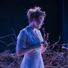 BWW Review: LitMoon's THE GLASS MENAGERIE Shows Life After the Bough Breaks
