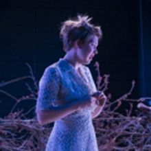 BWW Review: LitMoon's THE GLASS MENAGERIE Shows Life After the Bough Breaks
