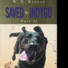 W. H. Kangas Pens SAVED BY INDYGO