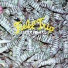 Stream Little Fevers' National Fall Tour Kicks Off Today