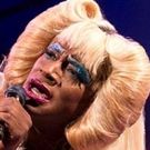 Neil Patrick Harris, Lena Hall, Stephen Trask, and More Join Final HEDWIG AND THE…