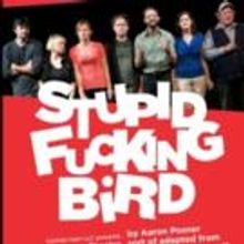 Dassia N. Posner Set for STUPID F-ING BIRD Panel at Sideshow Theatre Tonight