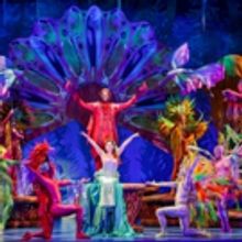 Photo Flash: Disney's LITTLE MERMAID Set to Dazzle at Broward Center in Fort Lauderda