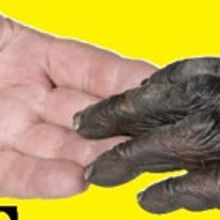 1st Stage Presents the Regional Premiere of TREVOR