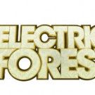 Electric Forest 2017 Announces Over 95 Additional Artists