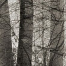 New Work by Photographer Abelardo Morell Launches Concord Museum's Thoreau…