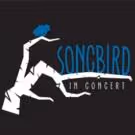 Broadway at the Cabaret - Top 5 Cabaret Picks for June 29-July 5, Featuring Lindsay…